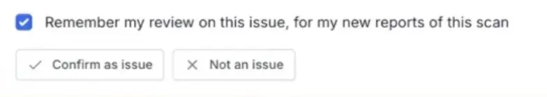 A message 'Remember my review on this issue for my new reports of this scan'