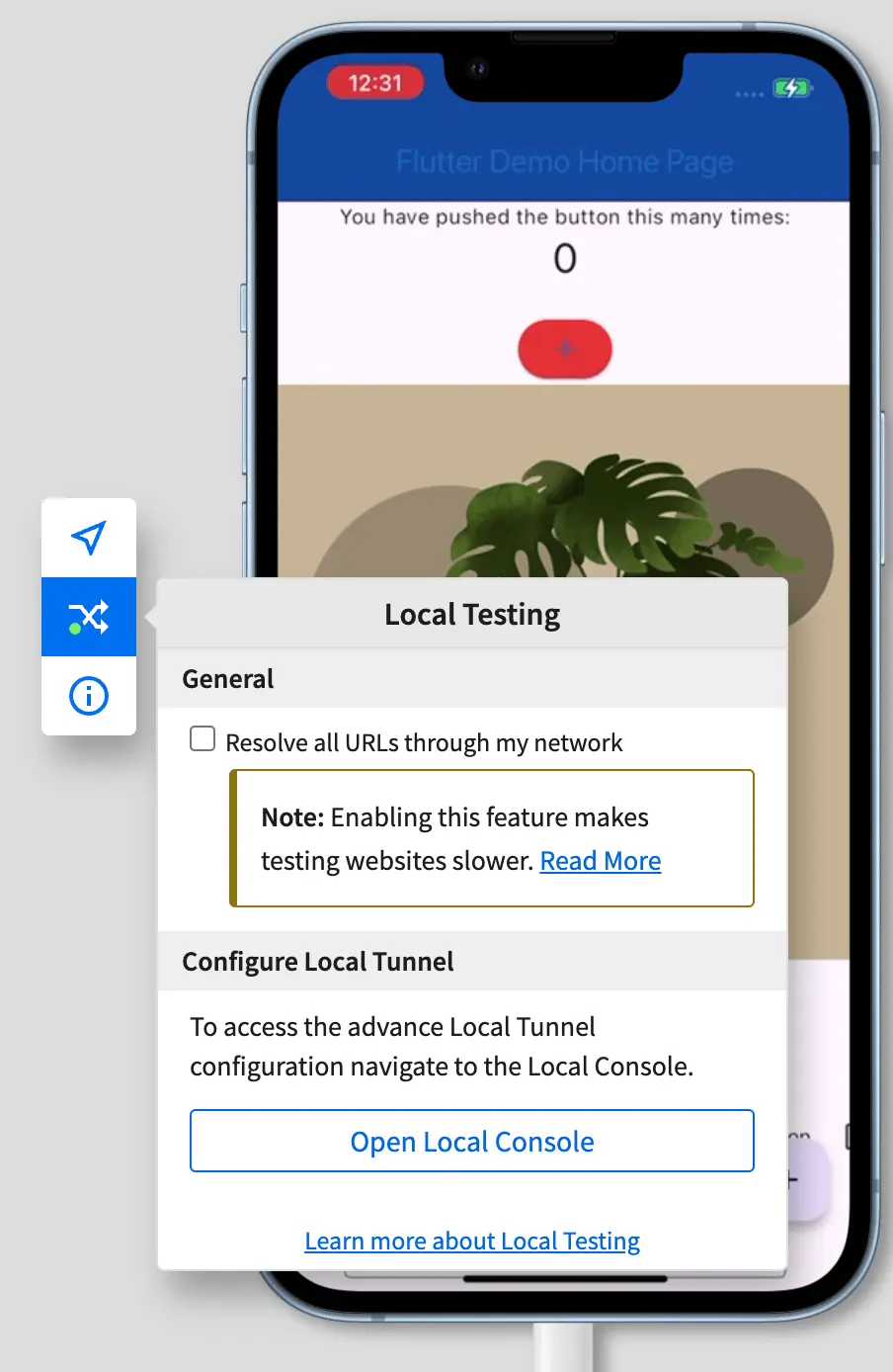 Settings for resolving URLs through your local network during App Accessibility session