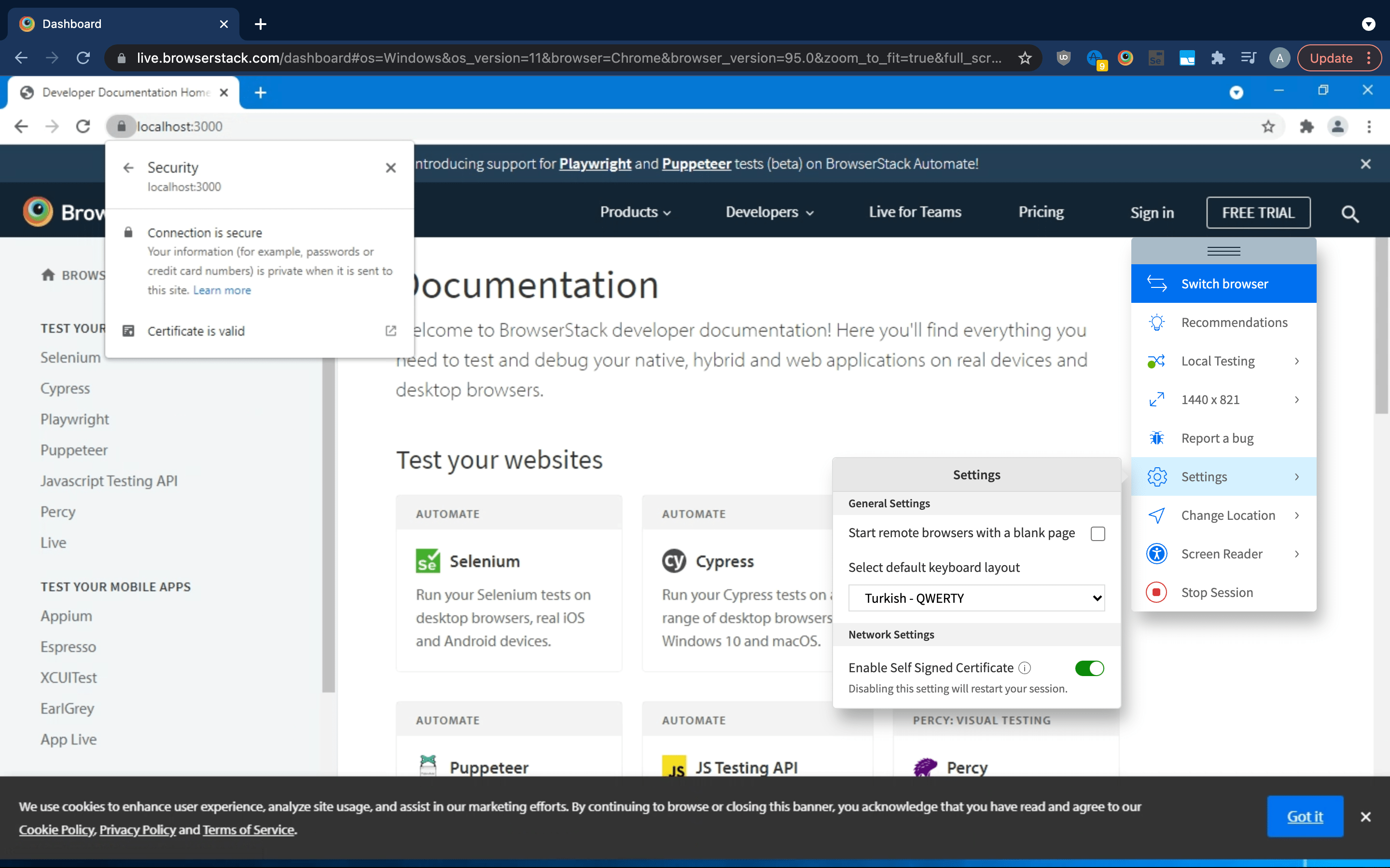 Enabling Self-Signed Certificate shows website as fully secure by the browser used in Live session