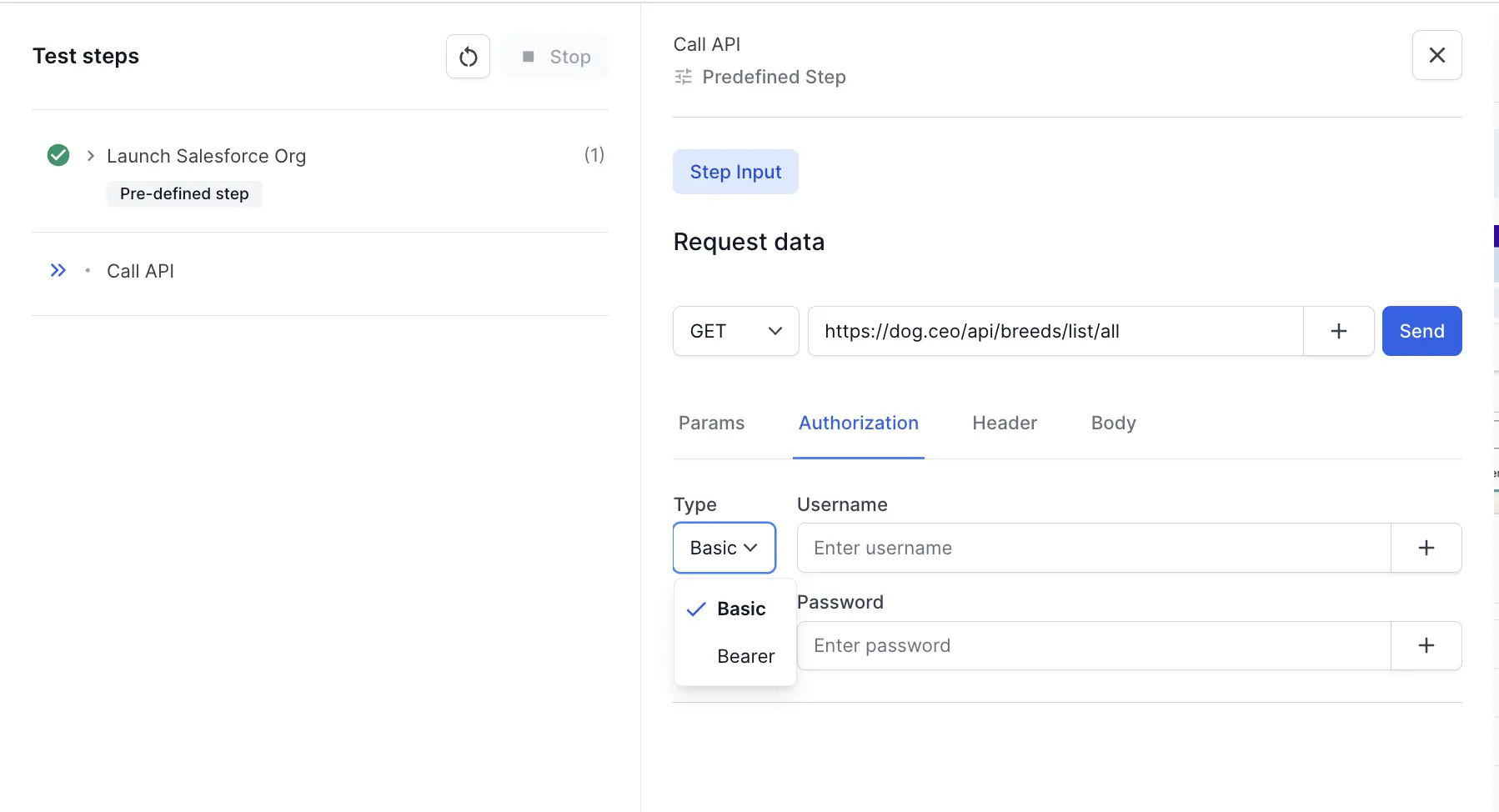 The Authorization tab showing authentication configuration options