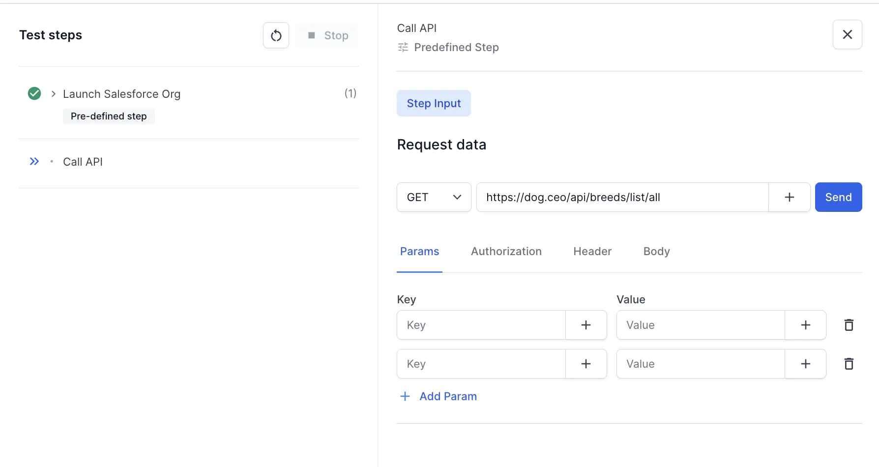 The Params tab showing key-value pairs for query parameters