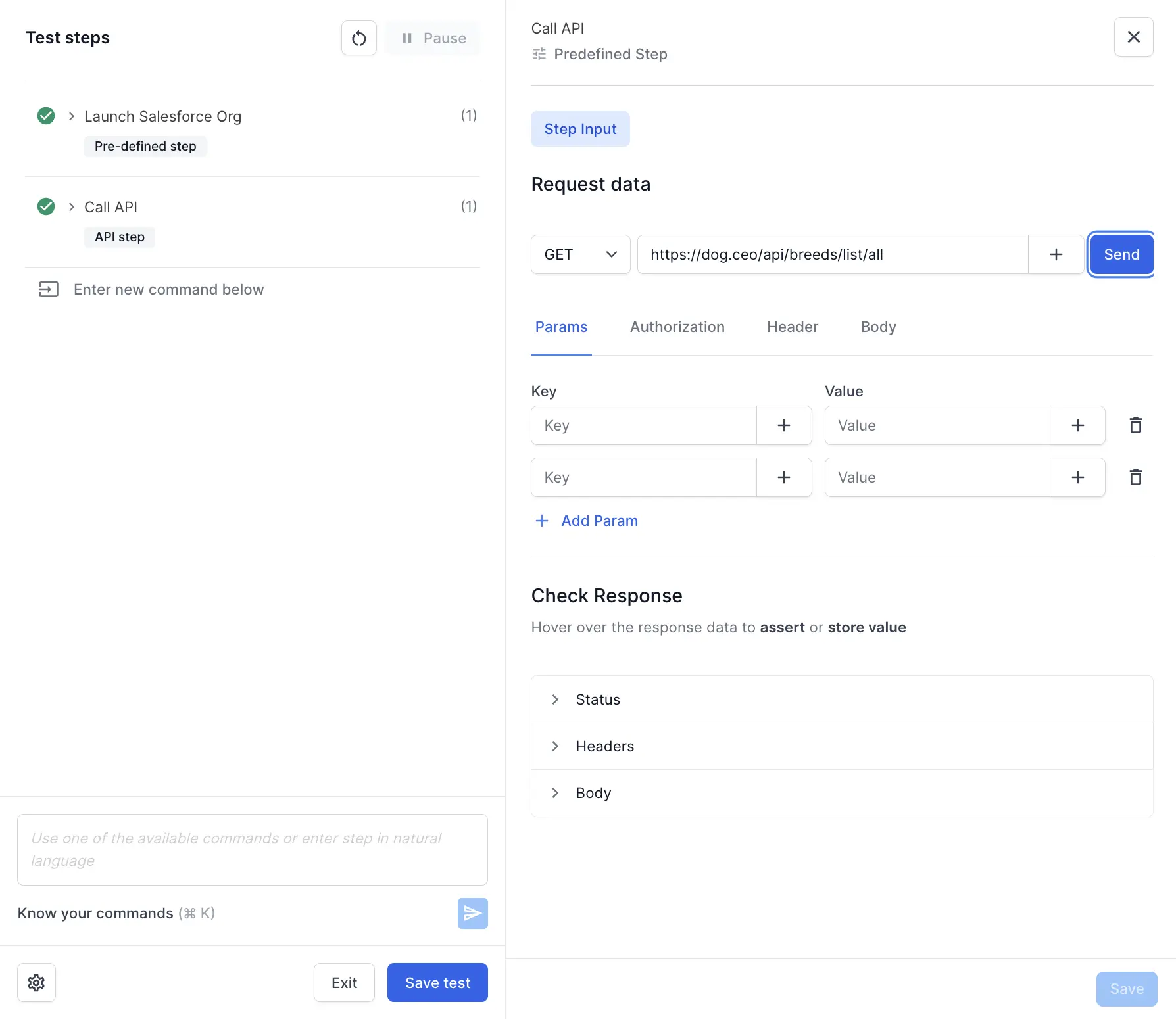 The API response showing status code, response time, and response body