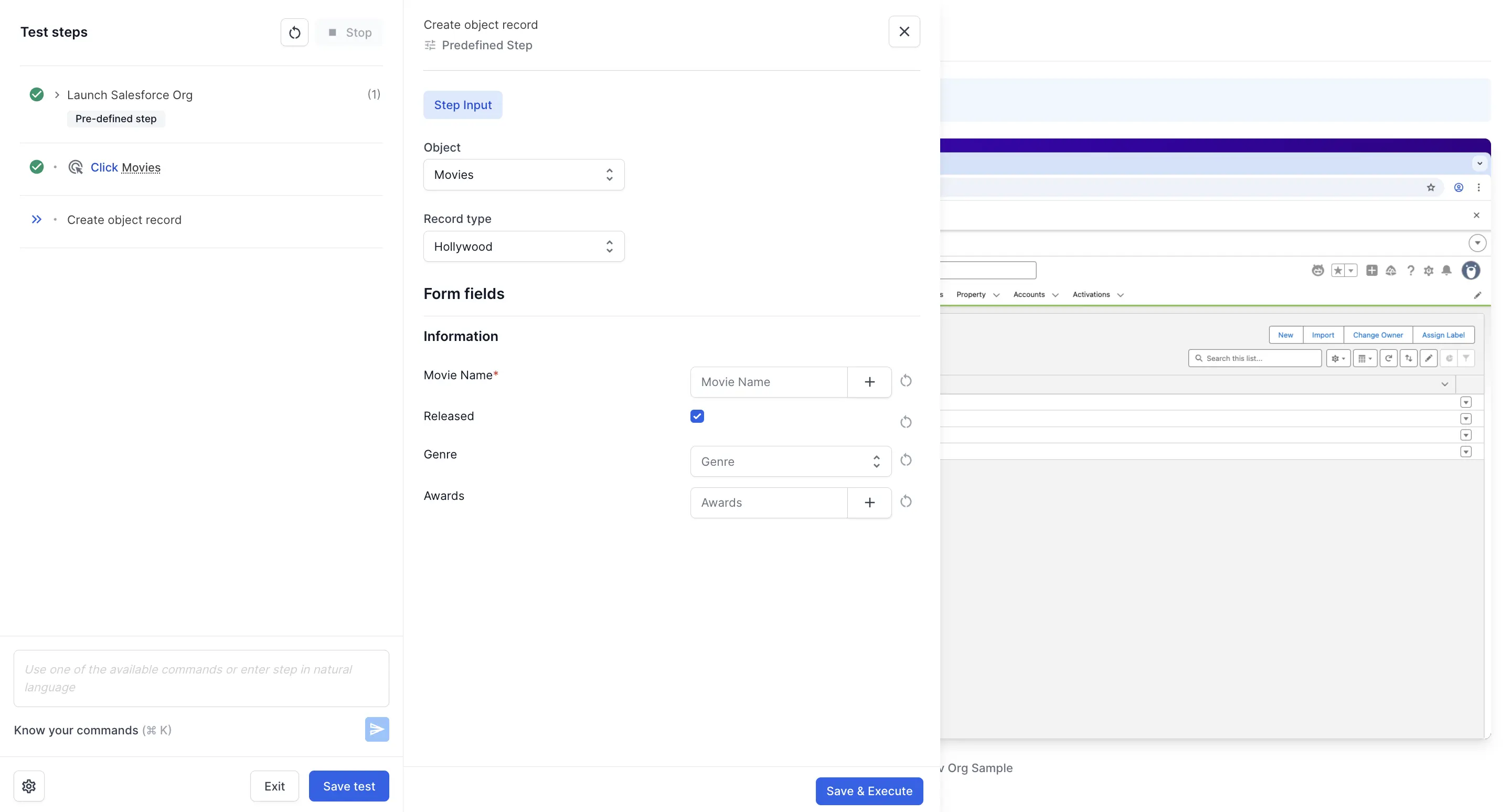 Create object record